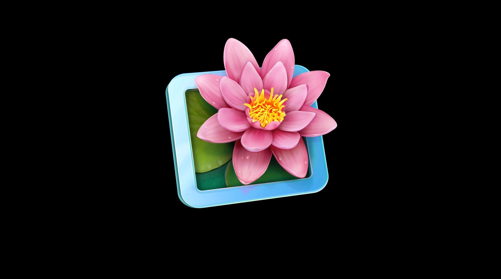 LilyView – правильный вьювер изображений для Mac